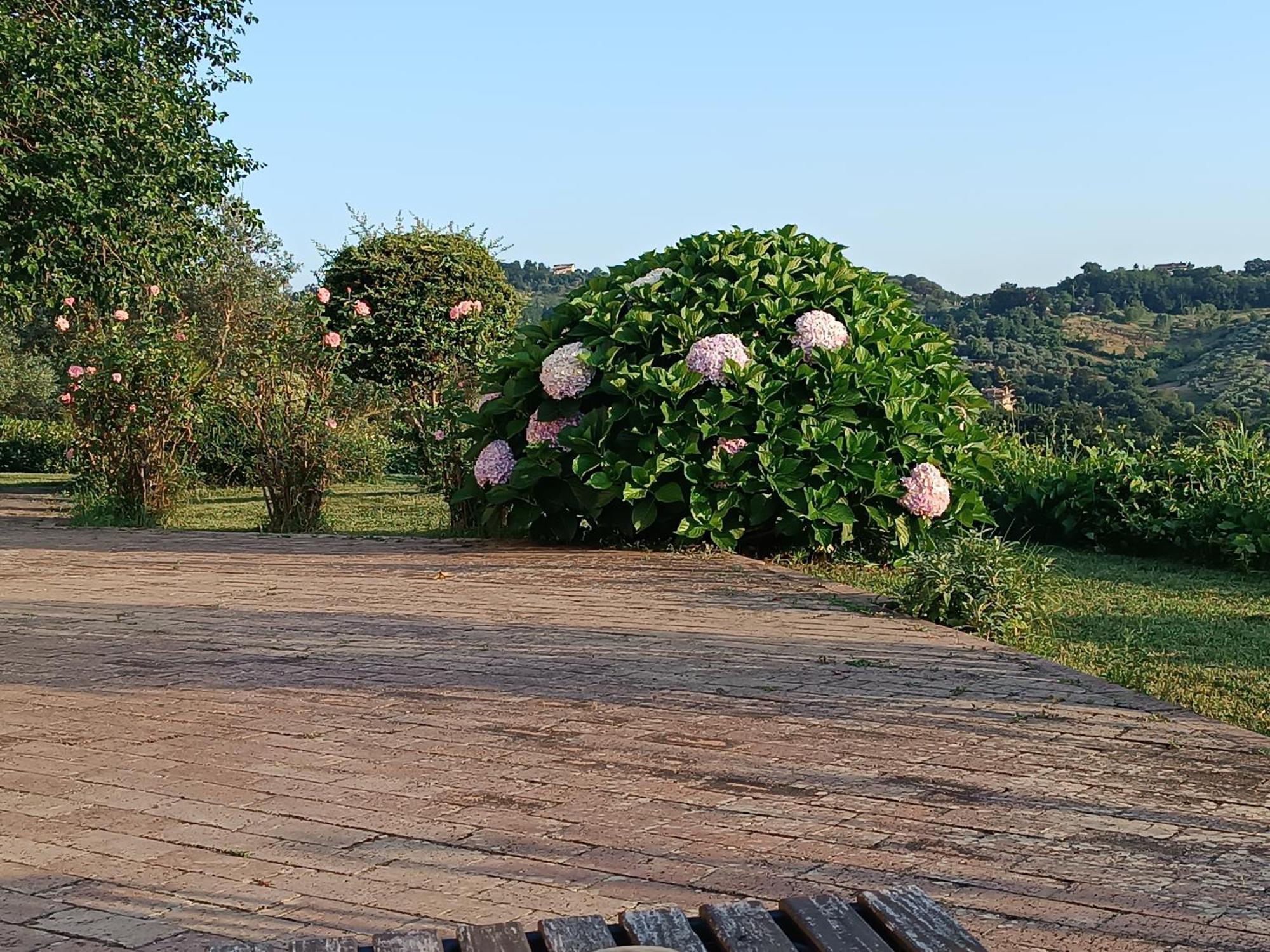 Santa Lucia B&B Caiazzo Eksteriør bilde