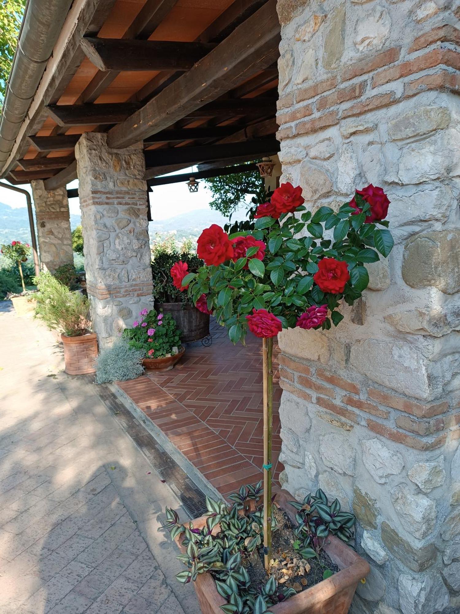 Santa Lucia B&B Caiazzo Eksteriør bilde